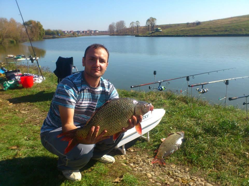 De-a lungul timpului - 13916547529637580625951726455475n.jpg